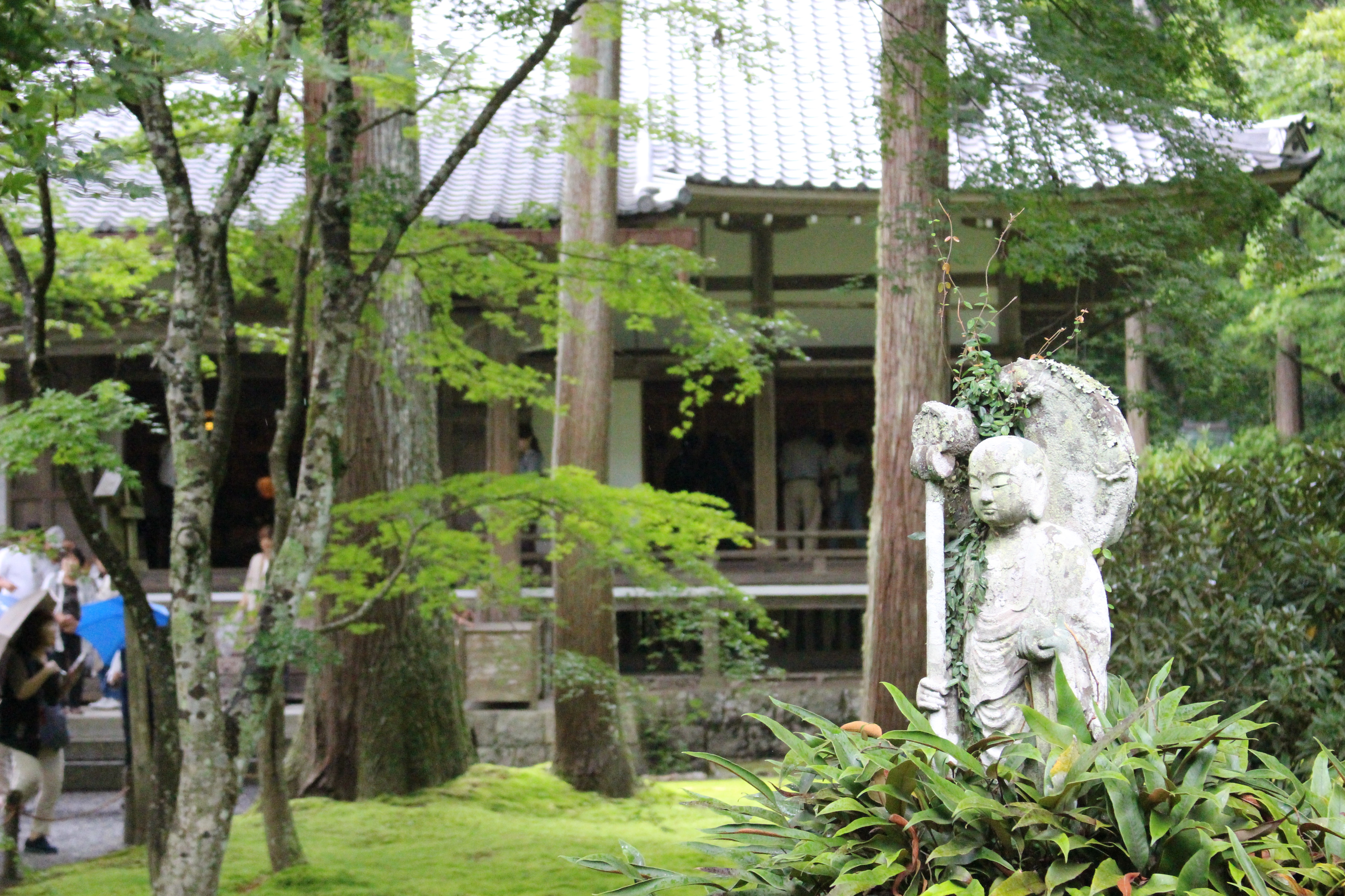 庭園の散歩