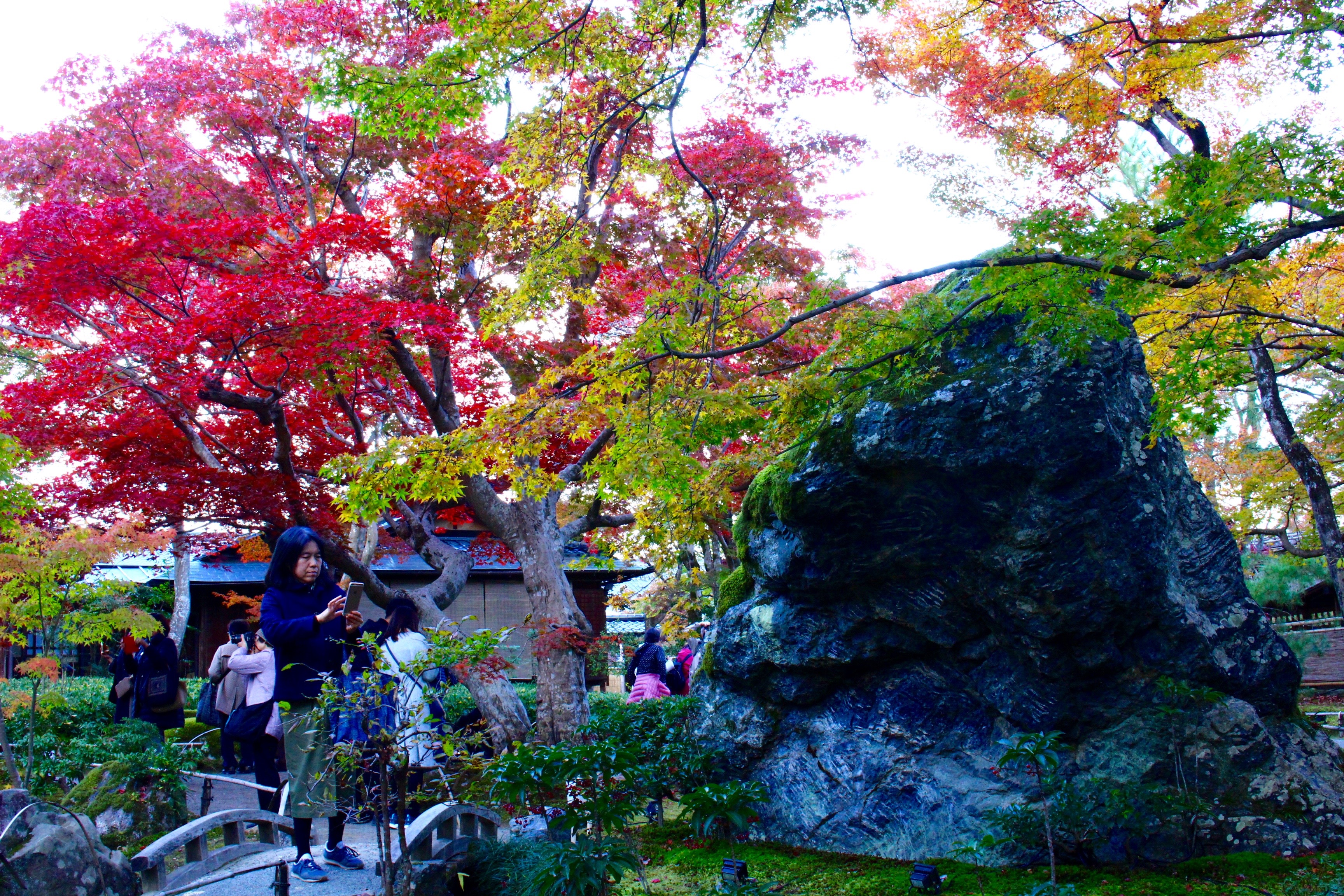 京都 嵐山 デート
